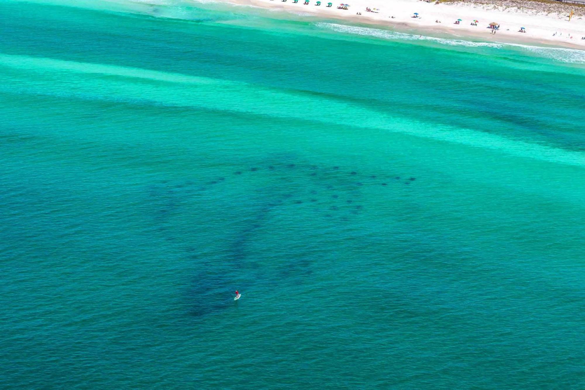 Ariel Dunes I 1502 Destin Exterior foto